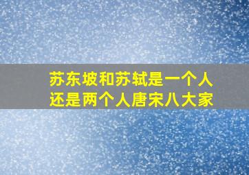 苏东坡和苏轼是一个人还是两个人唐宋八大家