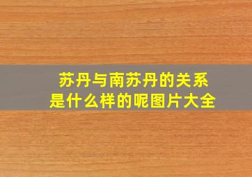 苏丹与南苏丹的关系是什么样的呢图片大全