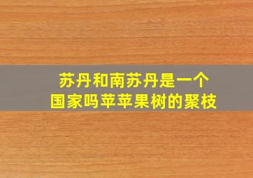 苏丹和南苏丹是一个国家吗苹苹果树的聚枝