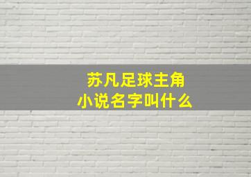 苏凡足球主角小说名字叫什么