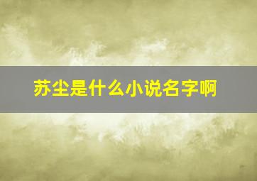 苏尘是什么小说名字啊