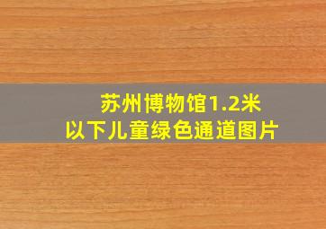 苏州博物馆1.2米以下儿童绿色通道图片