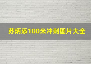 苏炳添100米冲刺图片大全