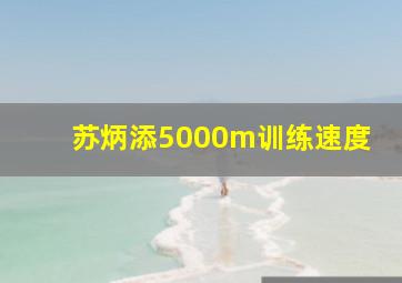 苏炳添5000m训练速度