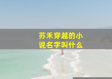 苏禾穿越的小说名字叫什么