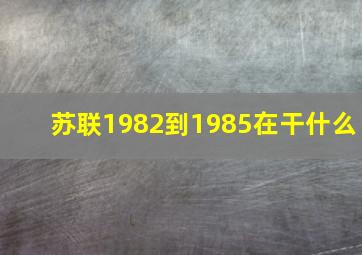 苏联1982到1985在干什么