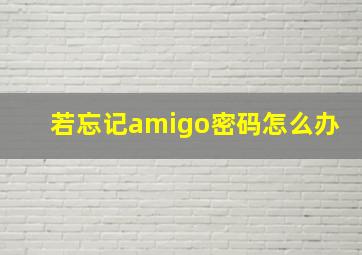 若忘记amigo密码怎么办