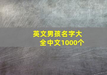 英文男孩名字大全中文1000个