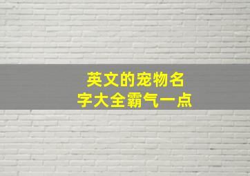 英文的宠物名字大全霸气一点