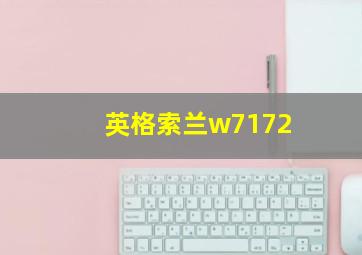 英格索兰w7172