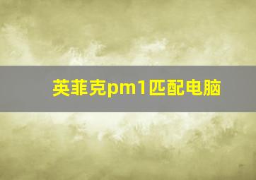 英菲克pm1匹配电脑