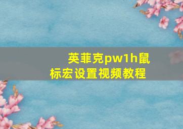 英菲克pw1h鼠标宏设置视频教程