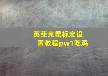 英菲克鼠标宏设置教程pw1吃鸡