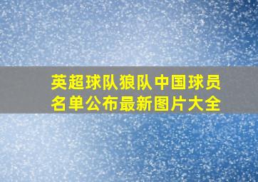 英超球队狼队中国球员名单公布最新图片大全