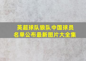 英超球队狼队中国球员名单公布最新图片大全集