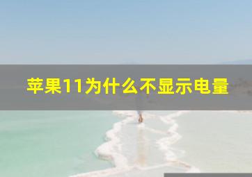 苹果11为什么不显示电量