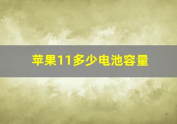 苹果11多少电池容量