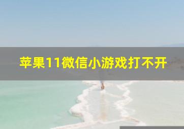 苹果11微信小游戏打不开