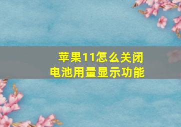 苹果11怎么关闭电池用量显示功能