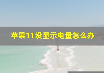 苹果11没显示电量怎么办