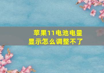 苹果11电池电量显示怎么调整不了