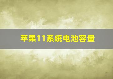 苹果11系统电池容量