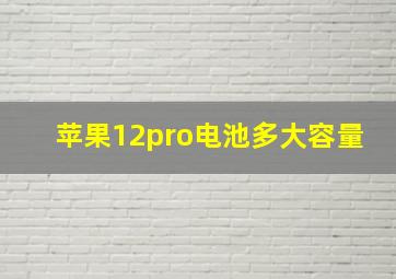 苹果12pro电池多大容量