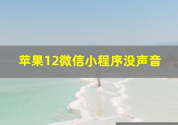 苹果12微信小程序没声音