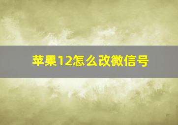 苹果12怎么改微信号