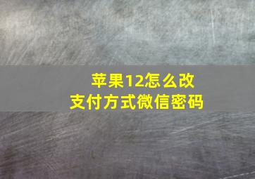 苹果12怎么改支付方式微信密码