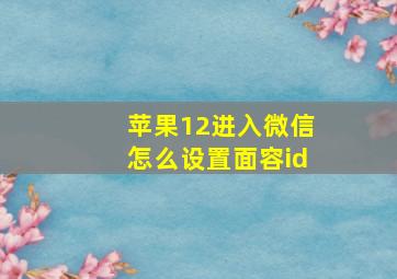 苹果12进入微信怎么设置面容id