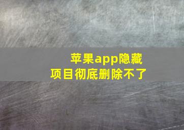 苹果app隐藏项目彻底删除不了