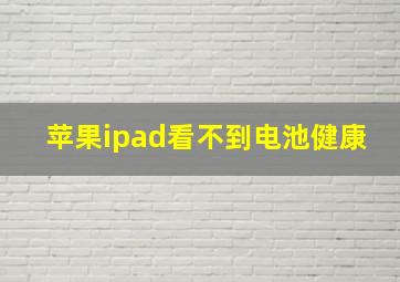 苹果ipad看不到电池健康