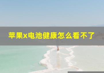 苹果x电池健康怎么看不了