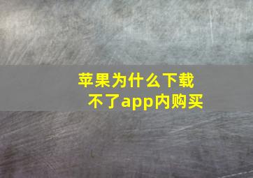 苹果为什么下载不了app内购买