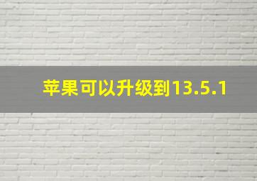 苹果可以升级到13.5.1