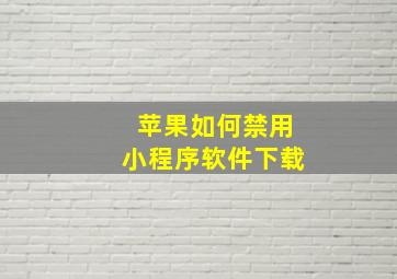 苹果如何禁用小程序软件下载