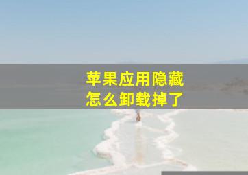 苹果应用隐藏怎么卸载掉了