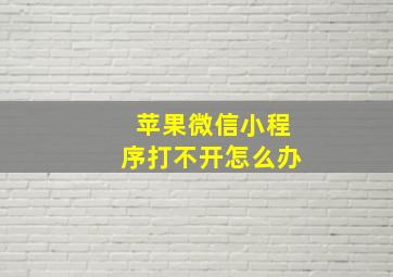 苹果微信小程序打不开怎么办