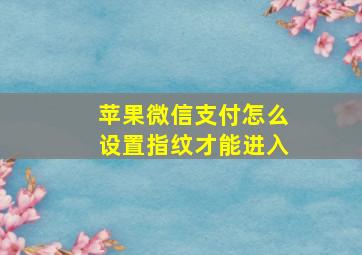 苹果微信支付怎么设置指纹才能进入