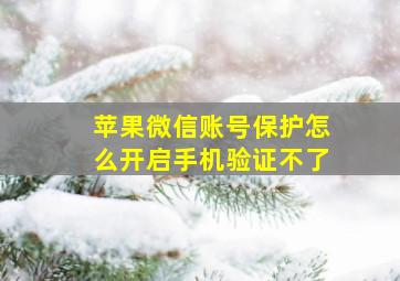 苹果微信账号保护怎么开启手机验证不了