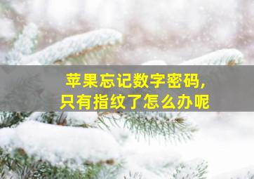 苹果忘记数字密码,只有指纹了怎么办呢