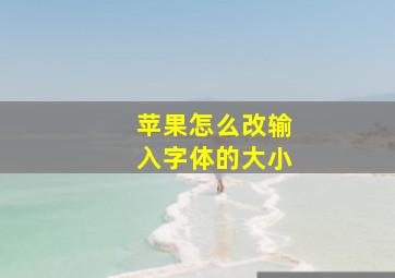 苹果怎么改输入字体的大小