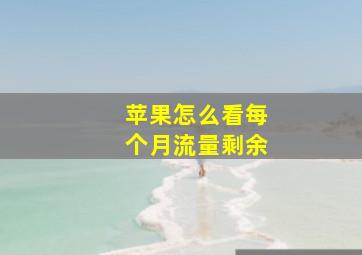 苹果怎么看每个月流量剩余