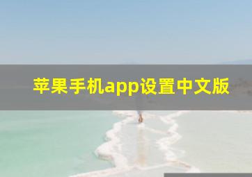 苹果手机app设置中文版