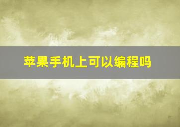 苹果手机上可以编程吗