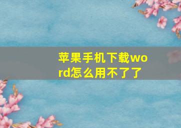 苹果手机下载word怎么用不了了