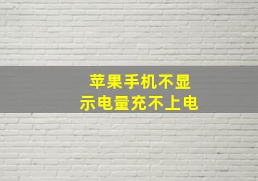 苹果手机不显示电量充不上电