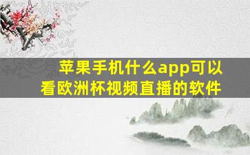 苹果手机什么app可以看欧洲杯视频直播的软件