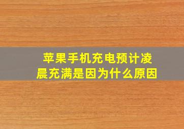 苹果手机充电预计凌晨充满是因为什么原因